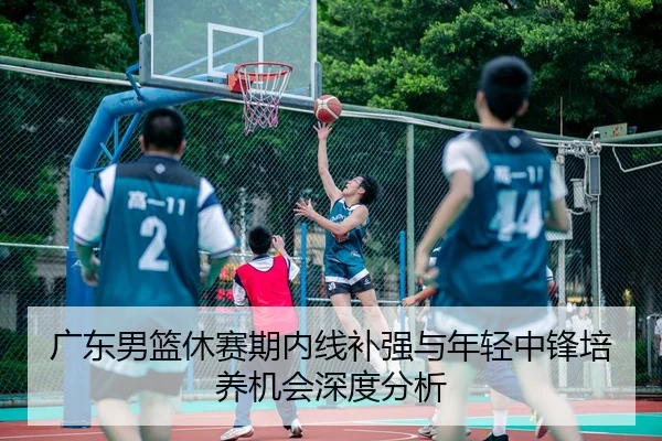 广东男篮休赛期内线补强与年轻中锋培养机会深度分析